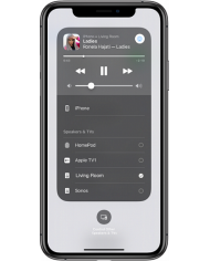 Network Audio Streamer con DAC Sabre ES9018 Classe D WiiM Amp Silver