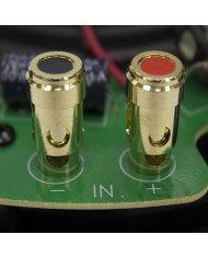 Diffusore da interno a parete In Wall a 2 vie Q Acoustics QI 65 RP