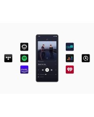 Wiim Ultra,Preamplificatore Streamer Wiim Ultra, lettore di rete wiim ultra