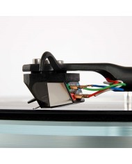 Rega ND5 Testina MM magneti a neodimio stilo diamantato nudo ellittico