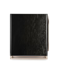 Triangle Capella  Diffusori attivi wireless con tecnologia WiSA Black