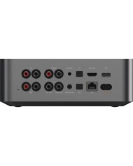 WiiM Ultra Preamplificatore streamer di rete e DAC con HDMI WiFi