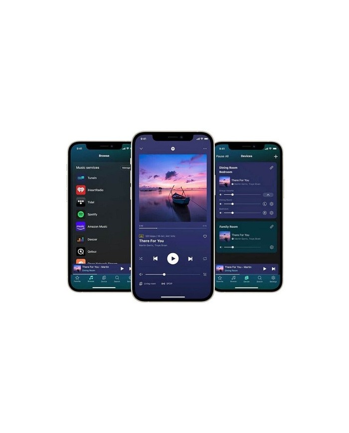WiiM Ultra Preamplificatore streamer di rete e DAC con HDMI WiFi