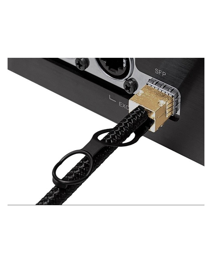 Cavo di collegamento per trasmissione audio digitale Melco SFP C1 D20