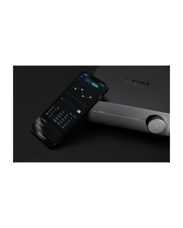 WiiM AMP PRO Space Grey,Amplificatore wiim amp pro,ampli wiim pro