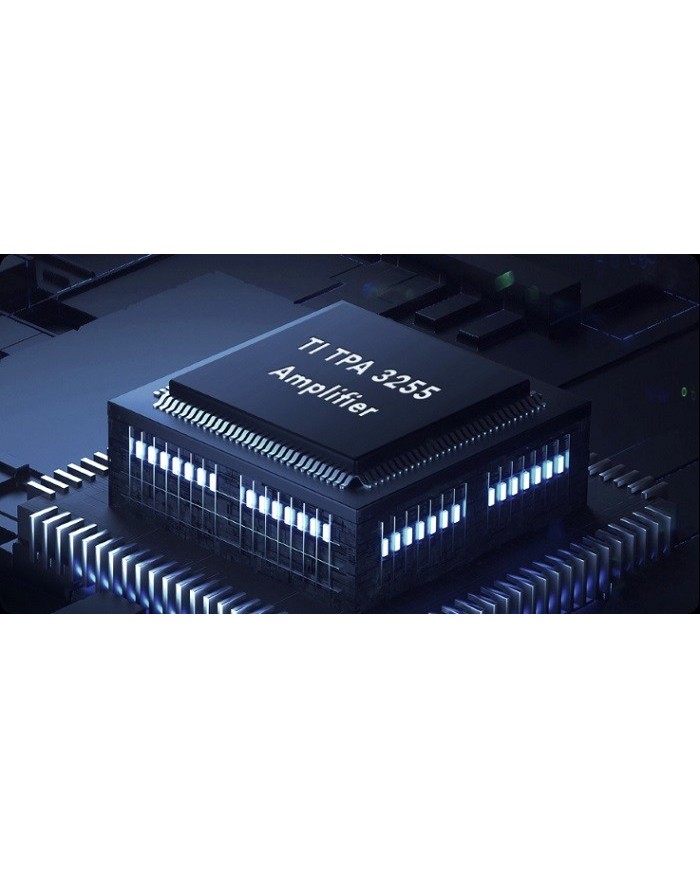 WIIM AMP PRO AMPLIFCATORE, Amplificatore hi fi wiim amp,wiim amp,