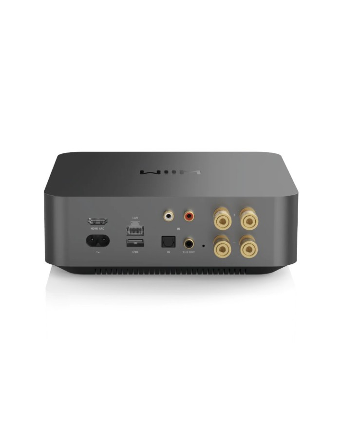 WiiM AMP PRO Space Grey,Amplificatore wiim amp pro,ampli wiim pro