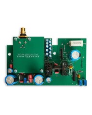 Modulo DAC aggiuntivo per amplificatore MoonRiver 404 Add on SPDIF DAC