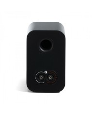 Diffusore da stand a 2 vie bass reflex Q Acoustics 3010C Satin Black