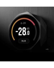 Streamer high end con preamplificatore e DAC USB Eversolo DMP A10