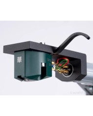 Testina MC ad alta uscita a stilo sintetico taglio ellittico  Hana EH