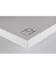 rega Planar 1 rega p1 2021  piatto rega planar 1 planar 1 2021 rega