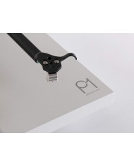 rega Planar 1 rega p1 2021  piatto rega planar 1 planar 1 2021 rega