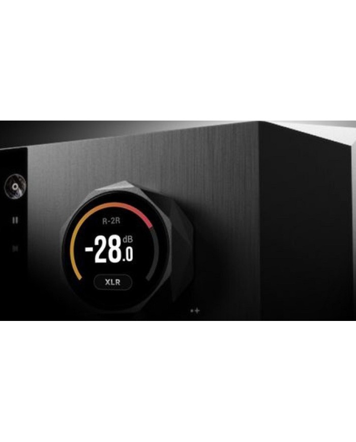 Streamer di rete con DAC e Preamplificatore R2R Eversolo DMP A10