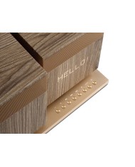 Speaker All-in-One 2.1 a 360 con Streamer integrato Aerix Duet MK3