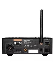 Trasporto Digitale puro e Streamer di rete Silent Angel Bremen B1T