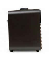 Sistema musicale WiFi  Bluetooth Streaming radio DAB+ Ruark R2 Noce