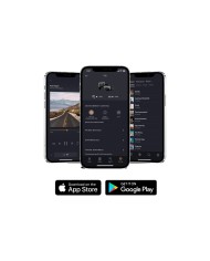 Auricolari in ear wireless e cancellazione rumore B&W Pi8 Jade Green