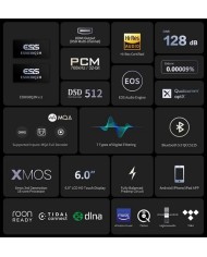 Nuovo Streamer preamp doppio DAC Sabre preamp EverSolo DMP-A6 Gen 2