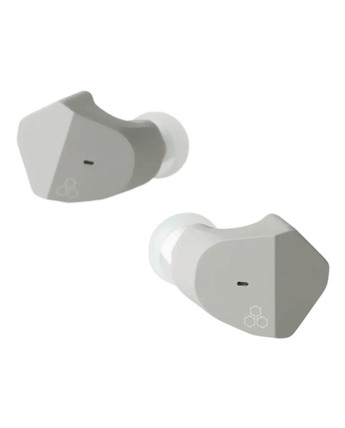 Cuffie In-Ear Wireless con driver F Core Final Audio ZE2000 Ash Grey