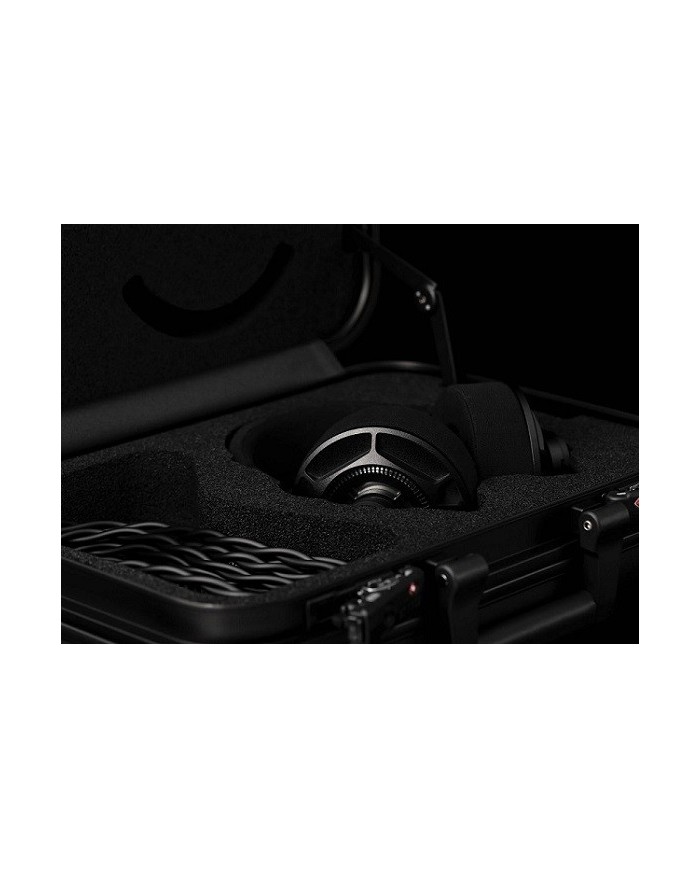 Cuffie Aperte On-Ear AFDS Serie D Final Audio D8000 DC Pro Edition