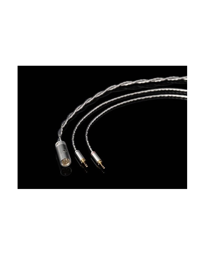 Cuffie Aperte On-Ear AFDS Serie D Final Audio D8000 DC Pro Edition