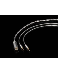 Cuffie Aperte On-Ear AFDS Serie D Final Audio D8000 DC Pro Edition