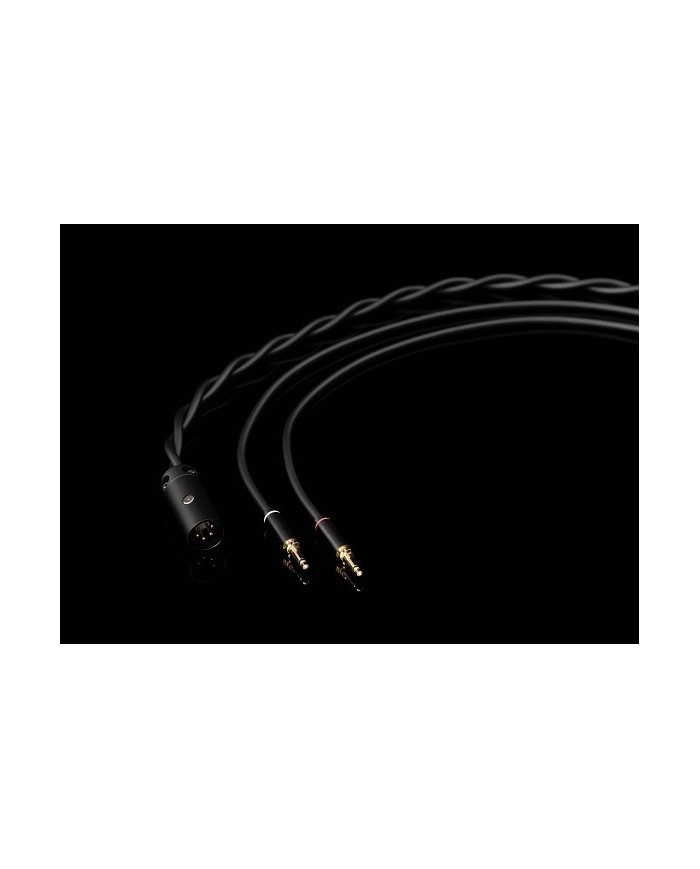 Cuffie Aperte On-Ear con tecnologia AFDS Serie D Final Audio D8000 DC