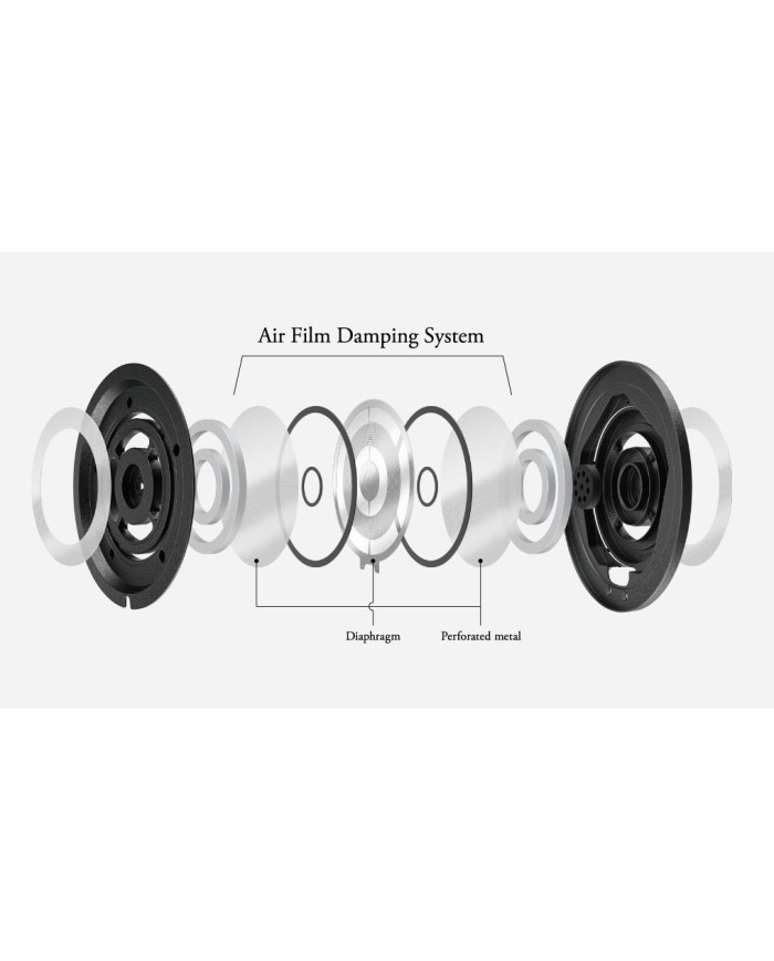 Cuffie Aperte On-Ear AFDS Serie D Final Audio D8000 DC Pro Edition