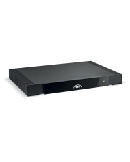 Amplificatore di potenza mono montabile su rack Naim CI-NAP 101