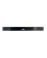Amplificatore di potenza mono montabile su rack Naim CI-NAP 101