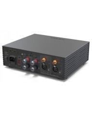 EverSolo AMP-F2 Amplificatore finale di potenza stereo in Classe D