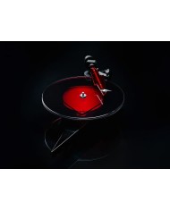 Pro-Ject AC-DC Giradischi celebrativo versione Limited Special Edition