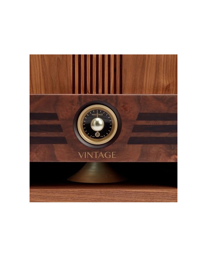 Fyne Audio Vintage Fifteen Diffusori da pavimento a 2 vie top di gamma