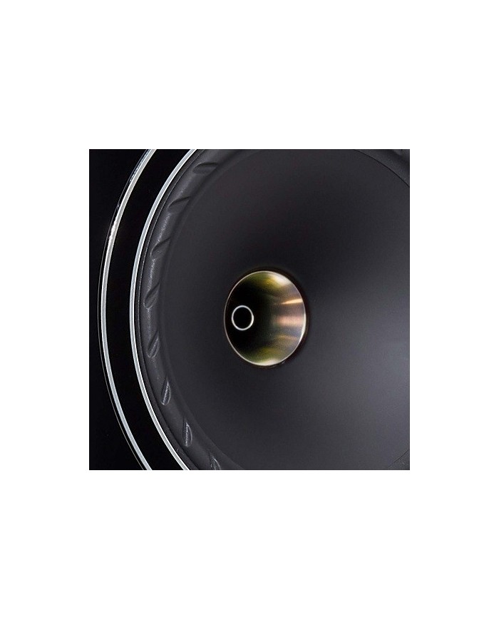 Fyne Audio F700 Piano Gloss Black Diffusori da stand driver IsoFlare