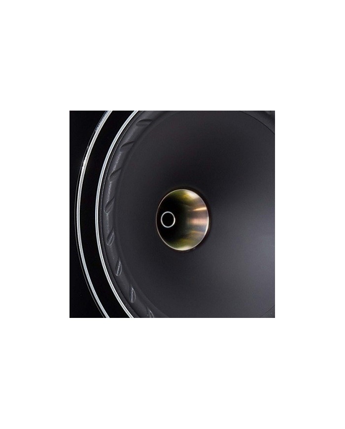 Fyne Audio F702 Piano Gloss Black Diffusori hi-end tecnologia IsoFlare