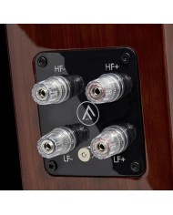 Fyne Audio F704 Piano Gloss Walnut Diffusori hi-end con driver Isoflare