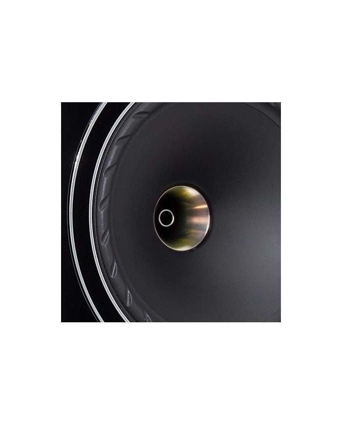 Fyne Audio F704 Piano Gloss Black Diffusori pavimento hiend IsoFlare
