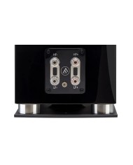 Fyne Audio F500SP Piano Gloss Black Diffusori 2 vie con driver IsoFlare
