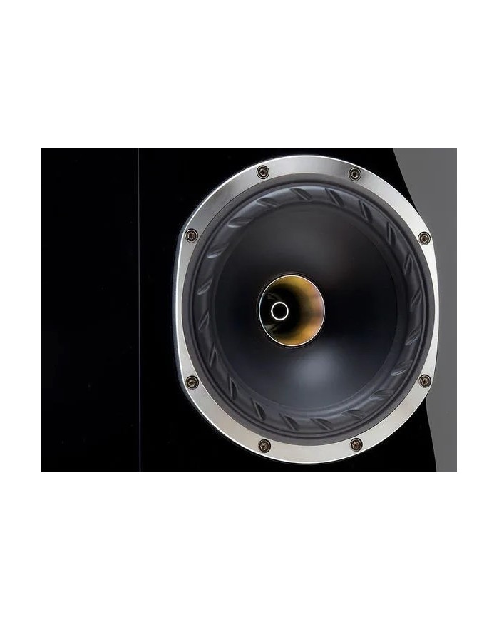 Fyne Audio F500SP Piano Gloss Black Diffusori 2 vie con driver IsoFlare