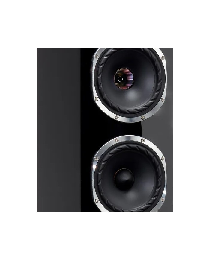Fyne Audio F501SP Piano Gloss Black Diffusori a 2.5 vie driver IsoFlare