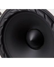 Fyne Audio F501SP Piano Gloss Walnut Diffusori hi-end e driver Isoflare