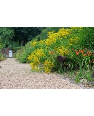 Monitor Audio Climate Garden Series CLG160 Diffusore per esterni