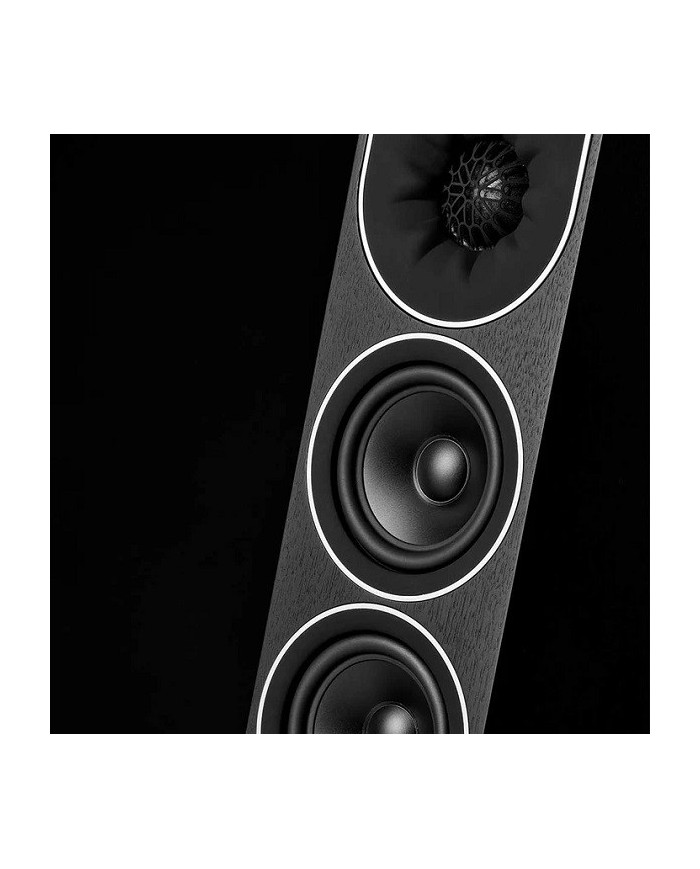 PMC Prophecy9 Blackened Walnut diffusori 3 vie in linea di trasmissione