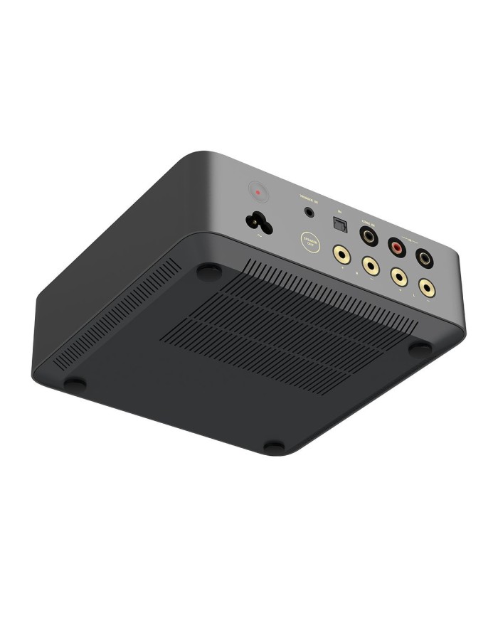 WiiM Vibelink Amplificatore Integrato compatto in Classe D con DAC ESS