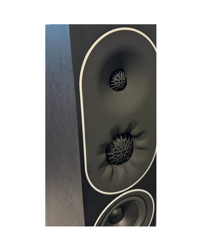 PMC Prophecy9 Blackened Walnut diffusori 3 vie in linea di trasmissione