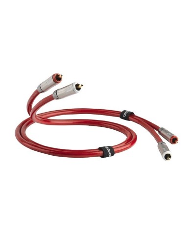 QED Reference Audio 40 Cavo RCA Placcato Argento