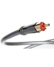 QED Performance Audio 40i coppia cavo di segnale stereo RCA RCA 2mt