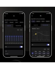 Amplificatore Network Audio Streamer WiiM Amp Ultra Silver