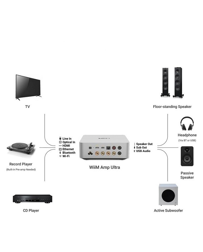 Amplificatore Network Audio Streamer WiiM Amp Ultra Silver